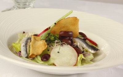 Eisbergsalat mit Radieschen, Sprossen, Sardellenfilet und Oliven